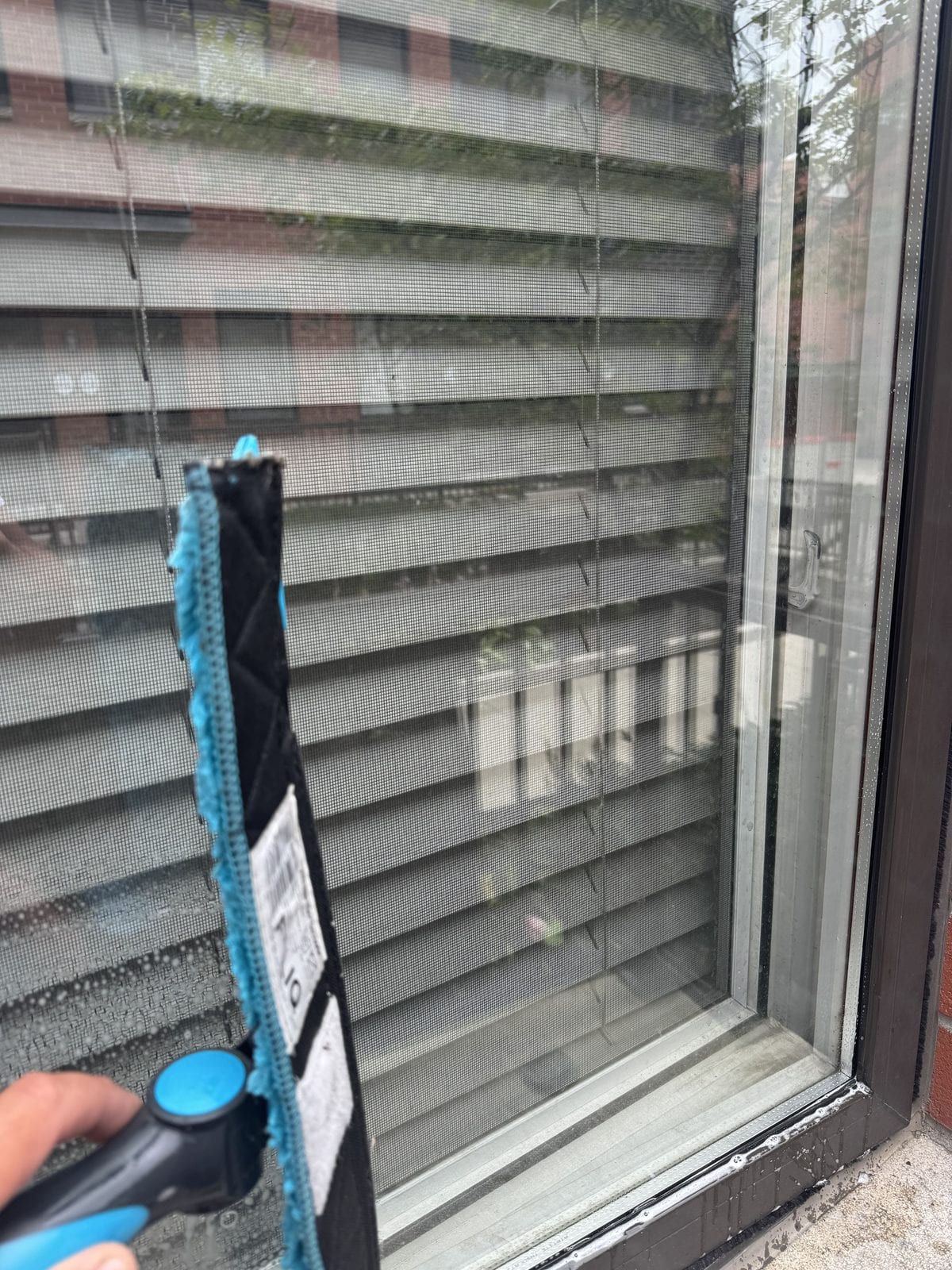 Squeegee detail work on residential glass